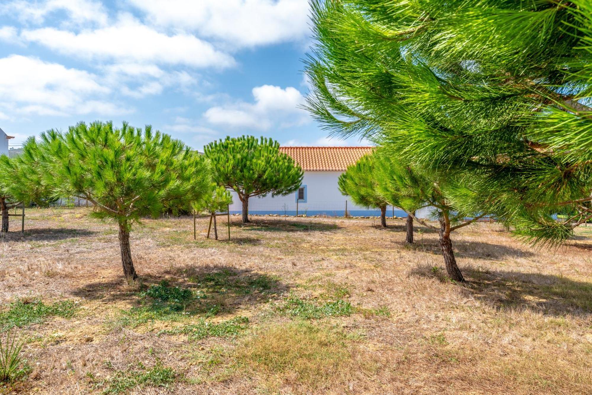 Quinta Da Bela Vista - Ericeira Villa Galiza Bagian luar foto
